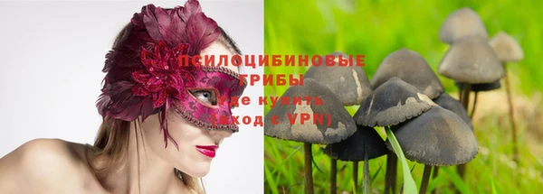прущий лед Михайловск