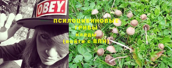 марки lsd Михайлов