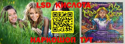 крисы Апшеронск