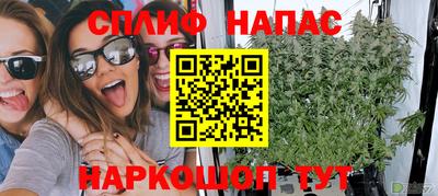 крисы Апшеронск