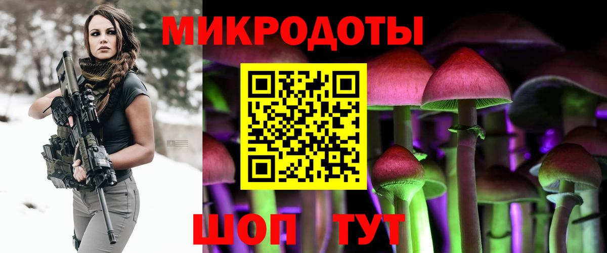 Псилоцибиновые грибы Psilocybe Ростов-на-Дону