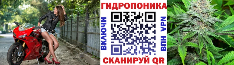 Бошки марихуана планчик  mega ONION  Ростов-на-Дону 